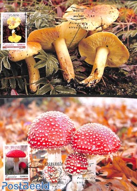 Mushrooms 2v, Maximum cards